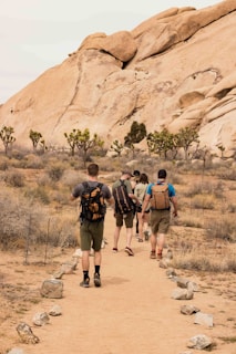 A group of five people walking along a desert path surrounded by rocks and sparse vegetation. They carry backpacks and wear casual hiking attire. Large rock formations rise in the background with a few scattered Joshua trees in the landscape.