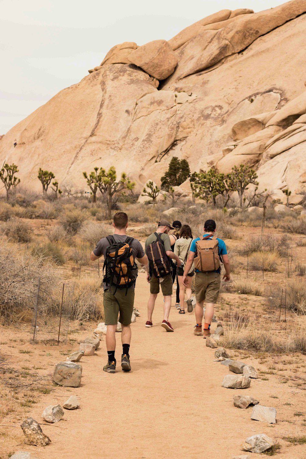 five person walking on pathway