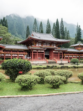 brown and black temple between trees at daytime