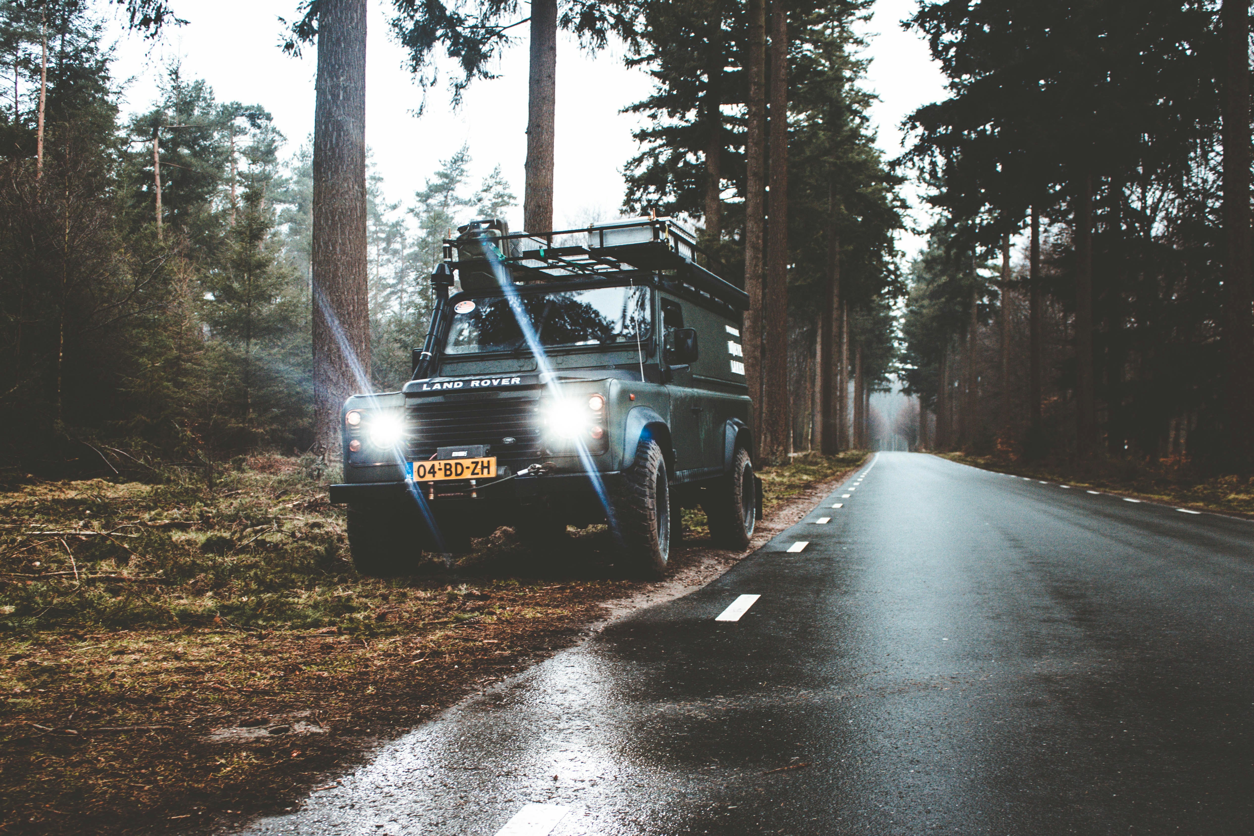 A wild defender on the endless forest road. I loving this color so much it match with the colors of the forest.