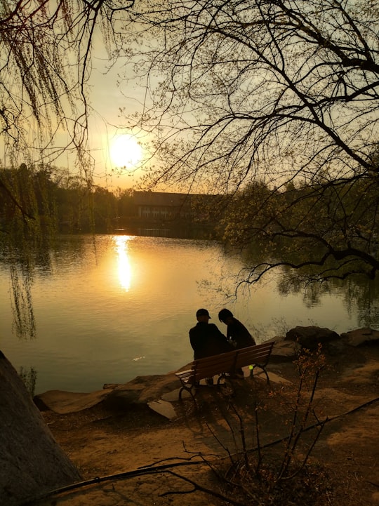 two person sitting on bench near lake in Peking University China