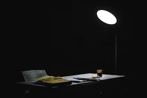 Adjustable Reading Lamp