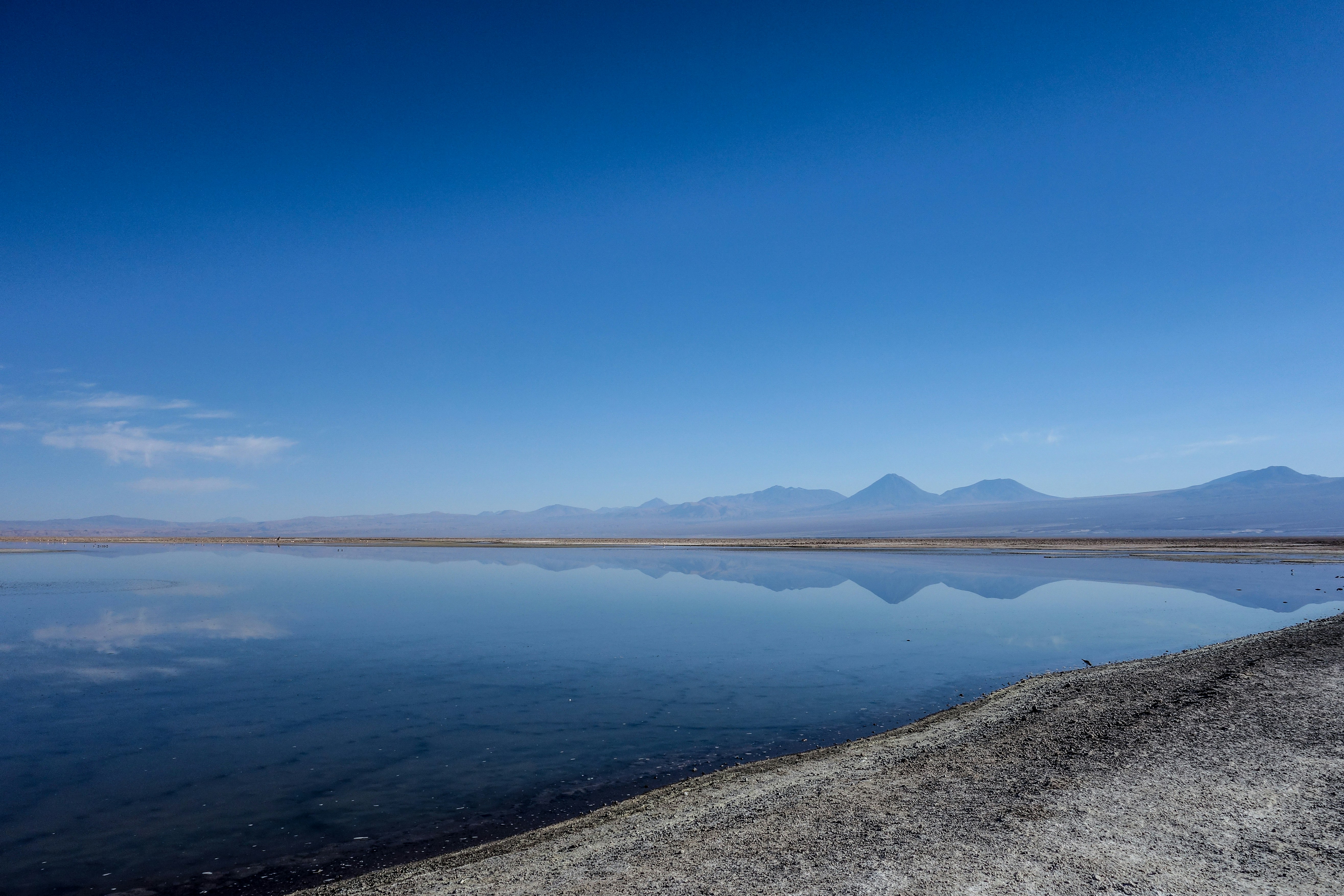 Bilder zum Thema Nationales Reservat Los Flamencos Kostenlose Bilder