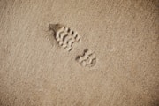 selective focus photography of foot print