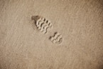 selective focus photography of foot print