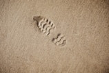 selective focus photography of foot print