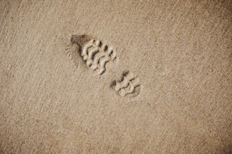 selective focus photography of foot print