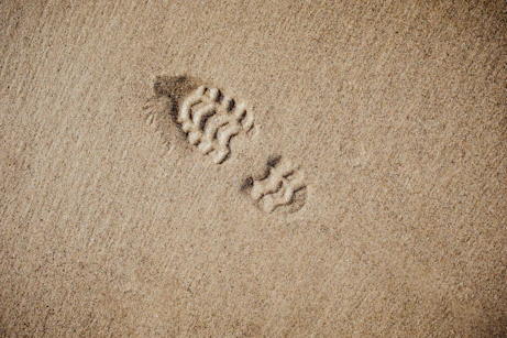 selective focus photography of foot print