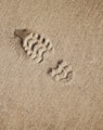 selective focus photography of foot print