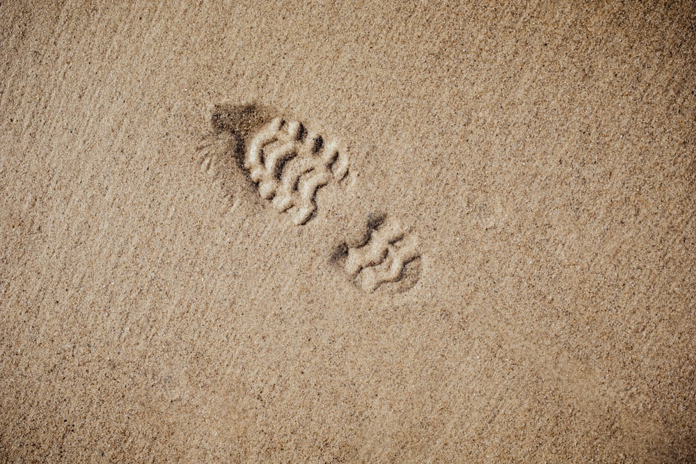 selective focus photography of foot print