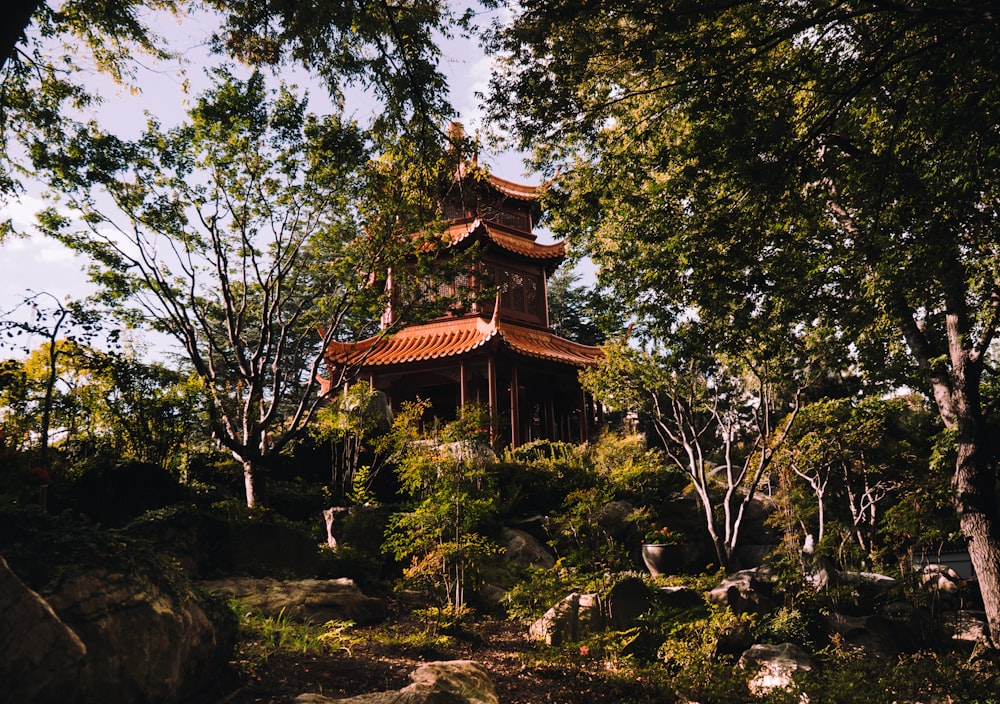 a pagoda in the middle of a wooded area