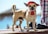 A small dog wearing a red cap and harness stands confidently on a wooden surface with a blurred background of an outdoor setting.