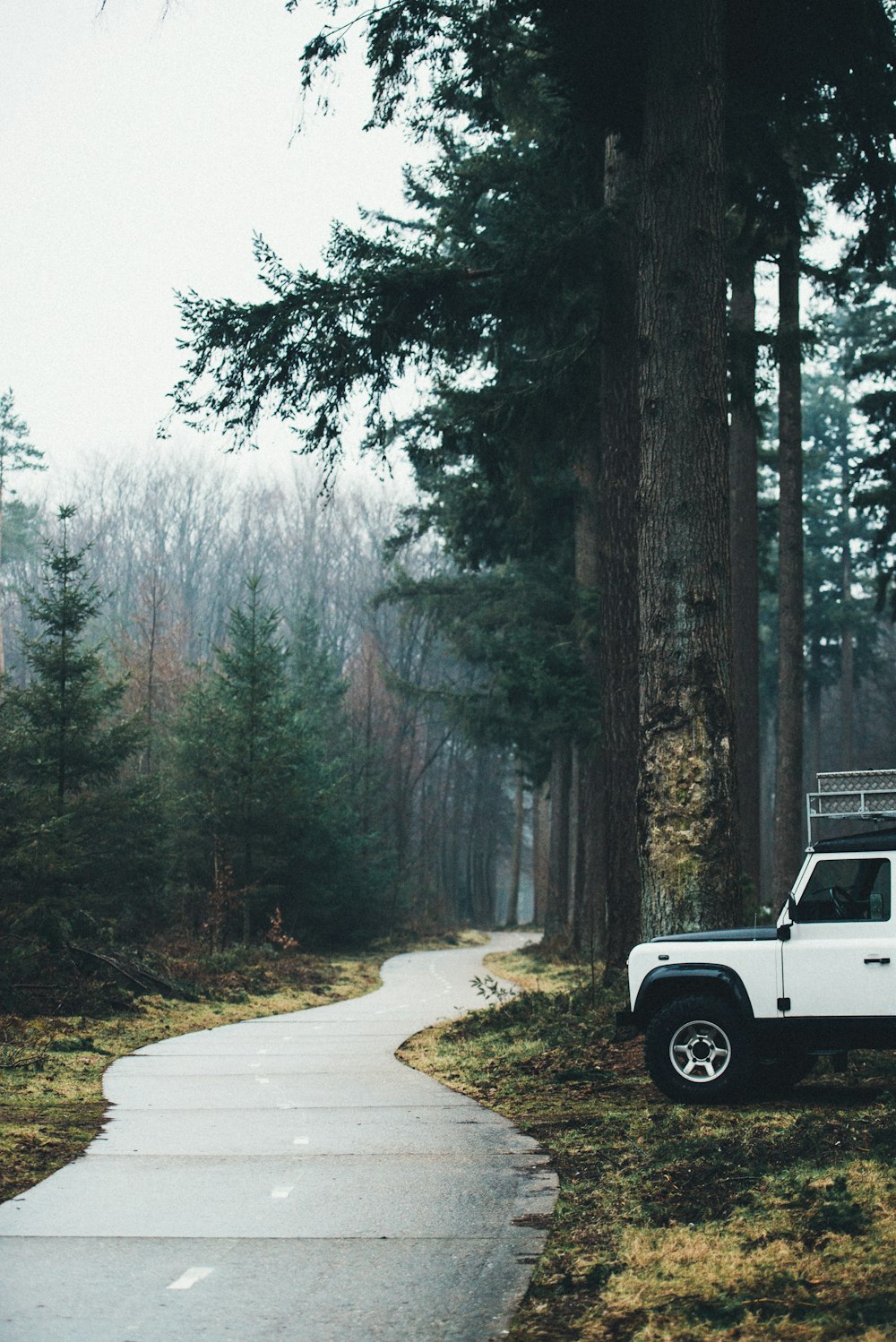 white car beside road