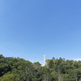 Modern power plant with transmission lines under a clear sky.