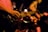 A close-up of a guitarist performing on stage.