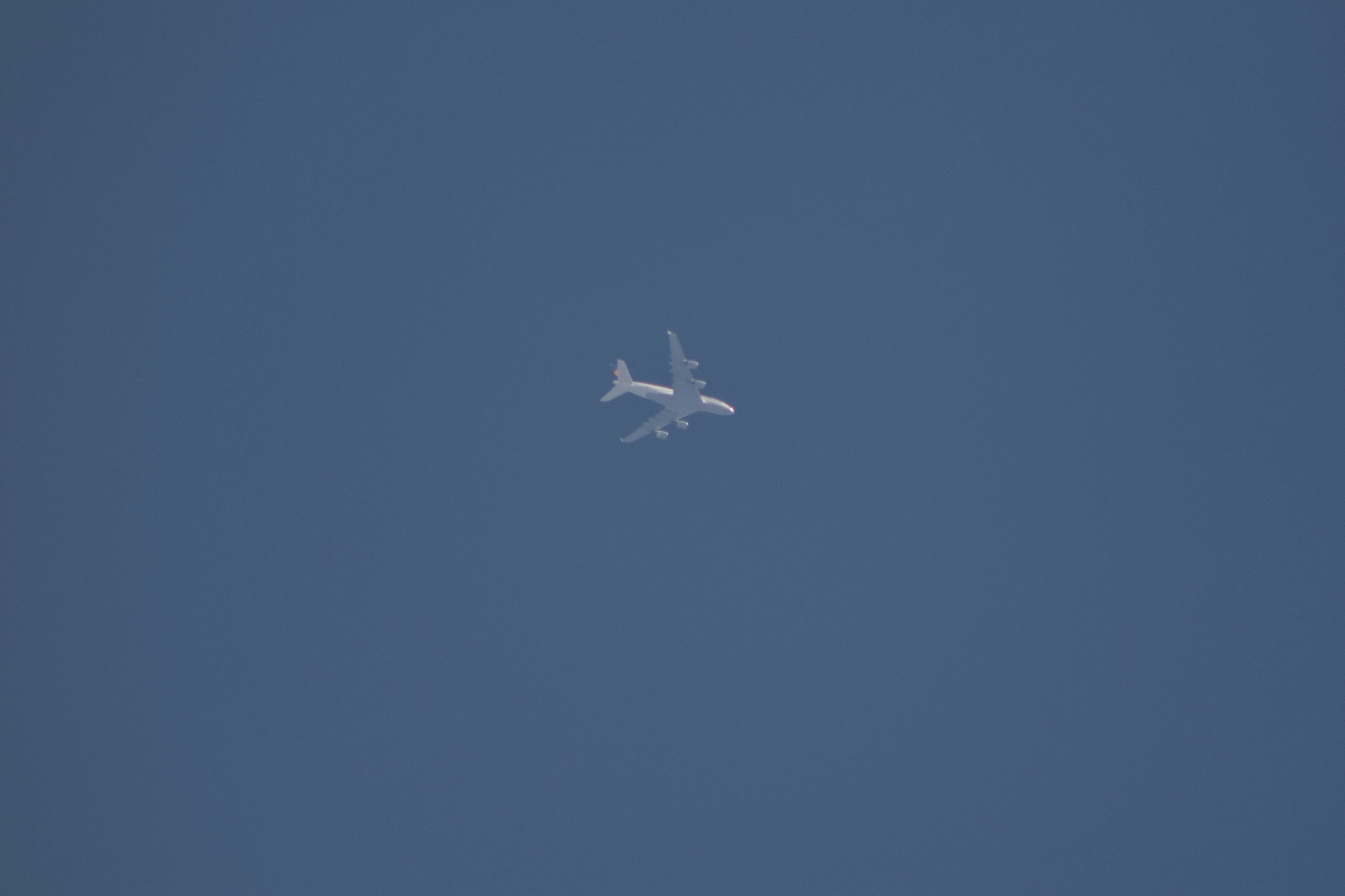 photo-1522780763416-7cf0136c19ff?ixlib=rb-1.2.1&ixid=eyJhcHBfaWQiOjEyMDd9&auto=format&fit=crop&w=1500&q=80