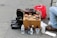 A small street setup featuring shoe shining items. There are polished leather shoes and boots positioned in neat lines. Shoe polish tins, brushes, and other shoe care products are displayed on a cardboard box. A water bottle and other miscellaneous cleaning products are nearby. A person wearing jeans is partially visible, sitting beside the setup.