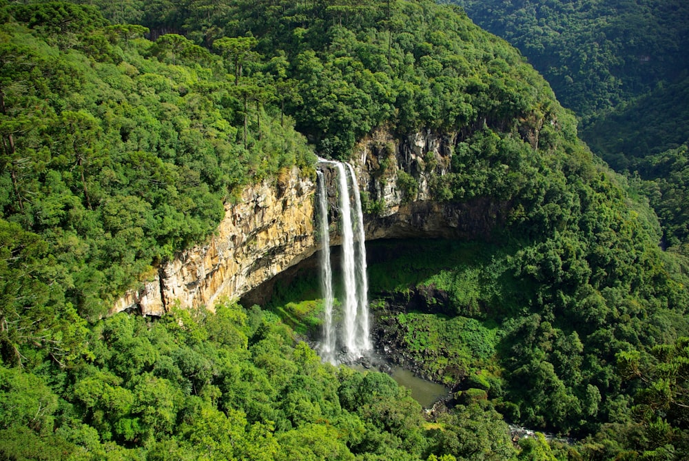 Photographie aérienne de chutes d’eau entourées de forêt