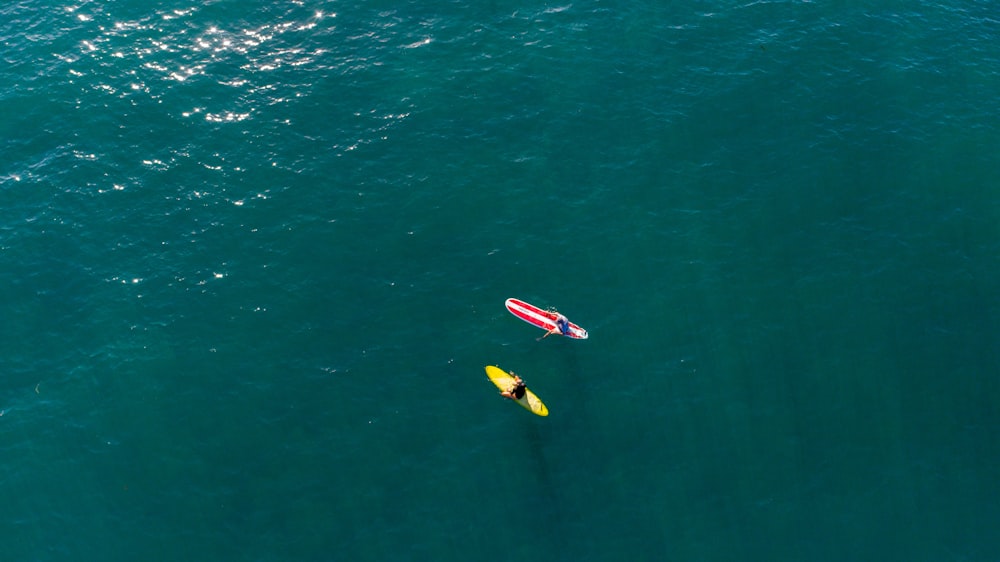 deux surfeurs sur l’eau