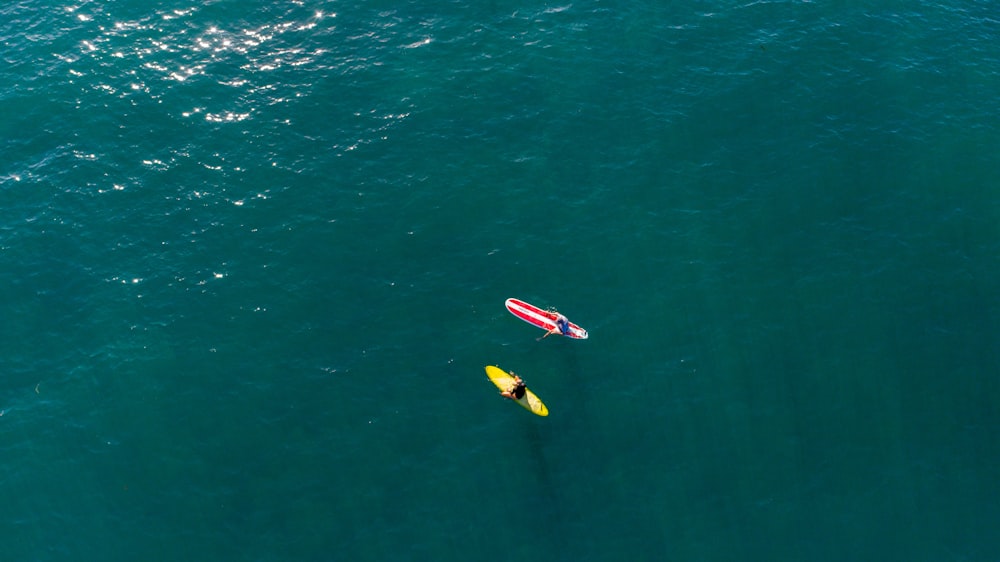 two surfers on water