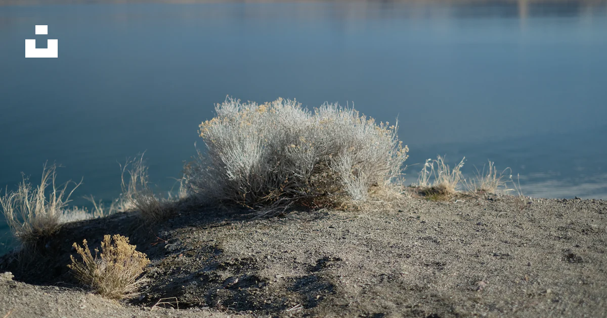 Nearest Land Body of water near land photo – Free Grey Image on Unsplash