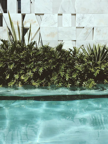 A sleek exposed aggregate pool surface glistening beside a matte forest green textured wall, capturing Florida's island vibes.