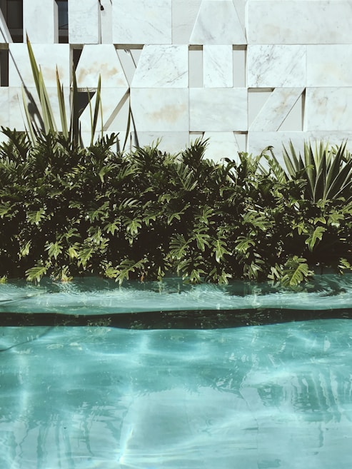 A modern architectural facade with large light-colored stone tiles is in the background. In front of it, lush green tropical plants create a natural barrier, with their leaves casting subtle shadows on the wall. The foreground features a clear pool of water, with sunlight creating shimmering patterns on the water's surface.
