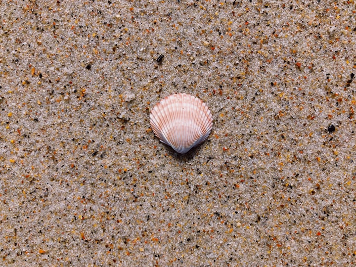 Beach of bones