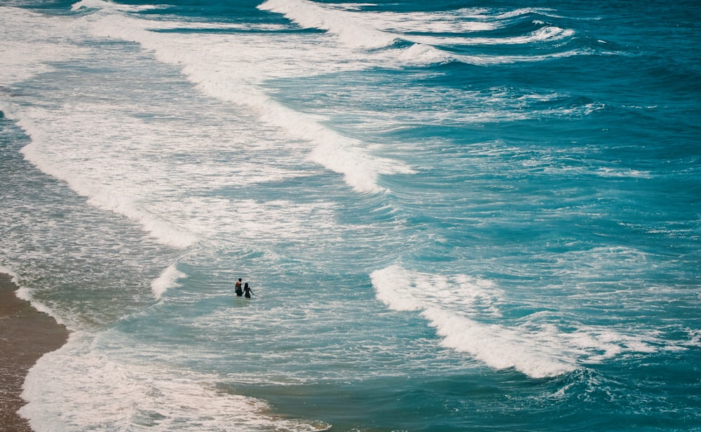 two persons walking on seashore