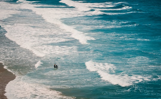 Playa del Cañuelo things to do in Zahara de los Atunes