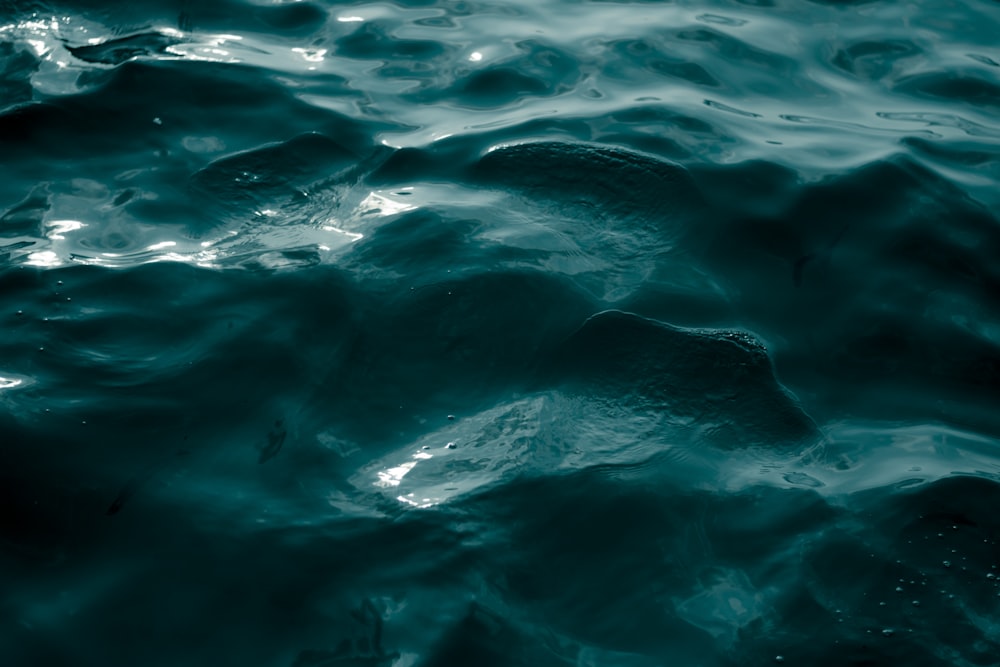 flat lay photography of body of water