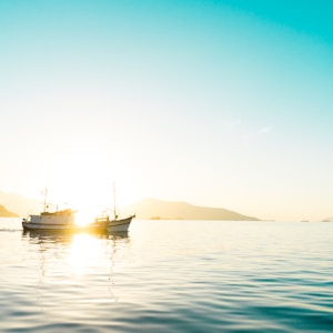 two white boats on body of water