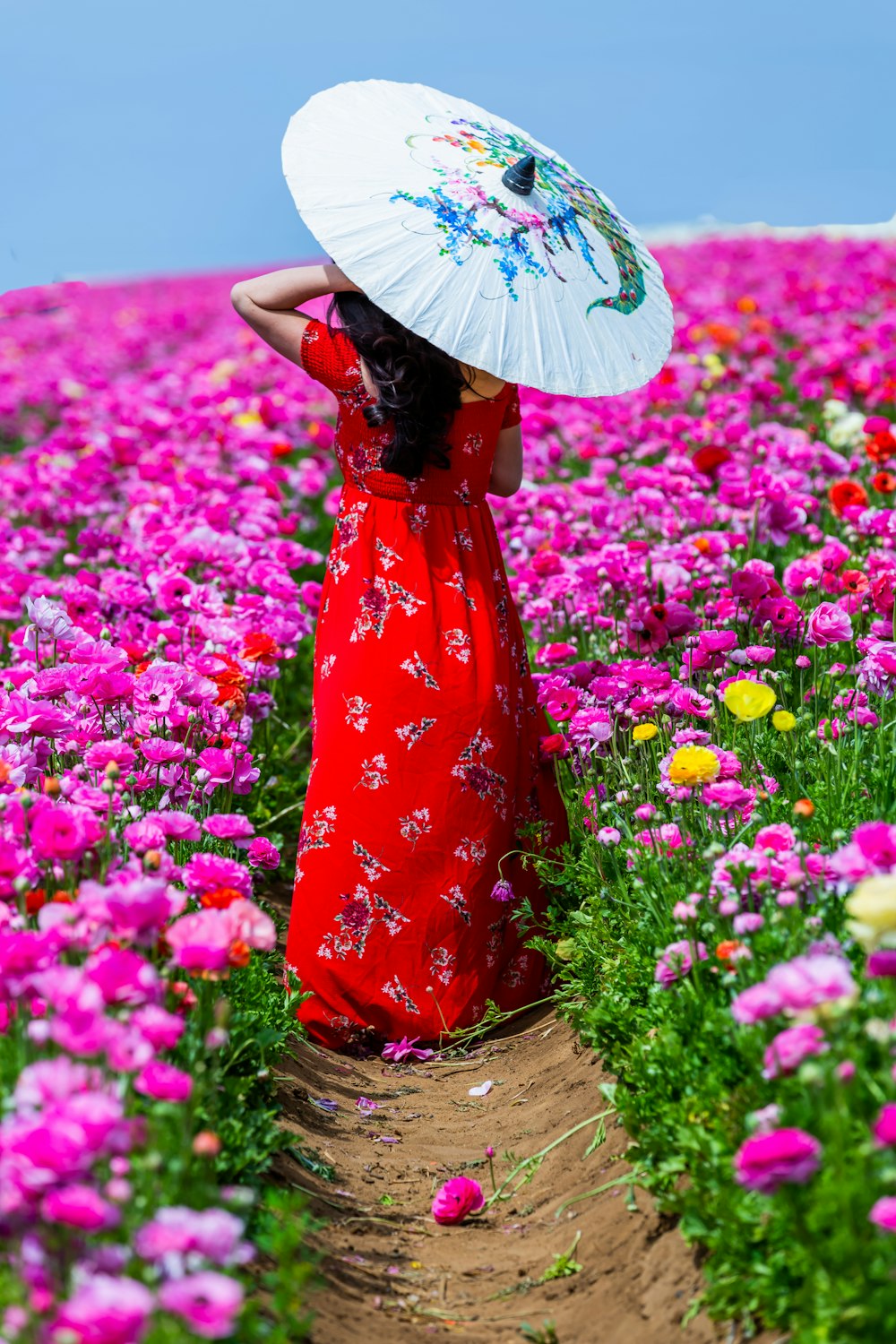 기름 종이 우산을 사용하면서 꽃밭의 통로를 따라 걷는 여자