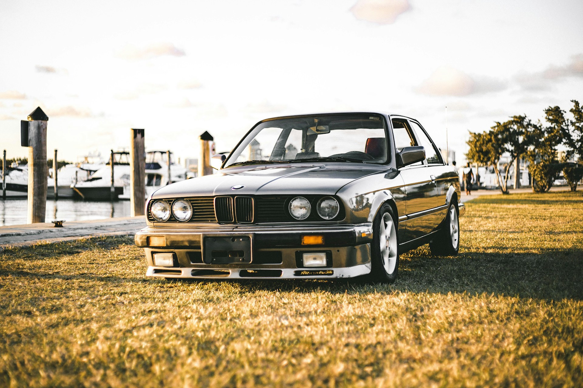 black BWM car on green lawn grass