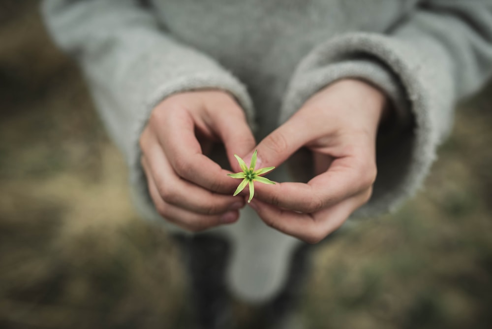 Person mit weißer Blume in der Fotografie mit flachem Fokus