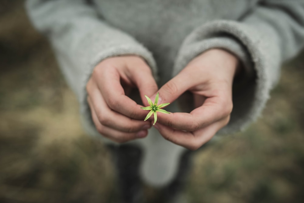 person holding white flower in shallow focus photography