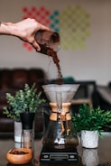person about to pour coffee powder in coffee brewer