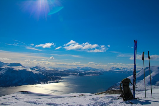 ski blade and poles standing on snow field in Ibestad Norway