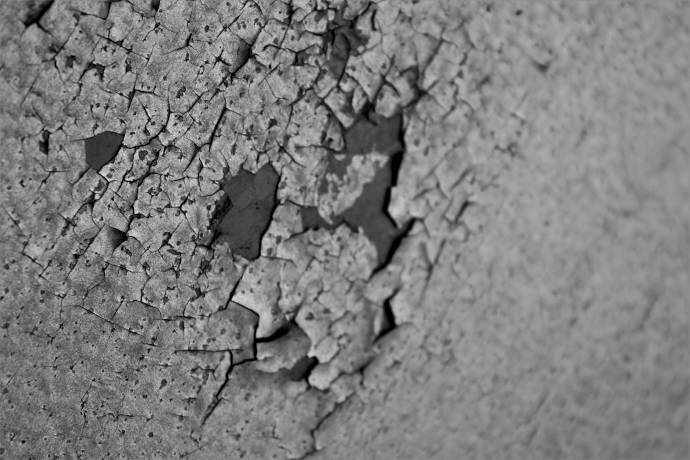 cracked cement