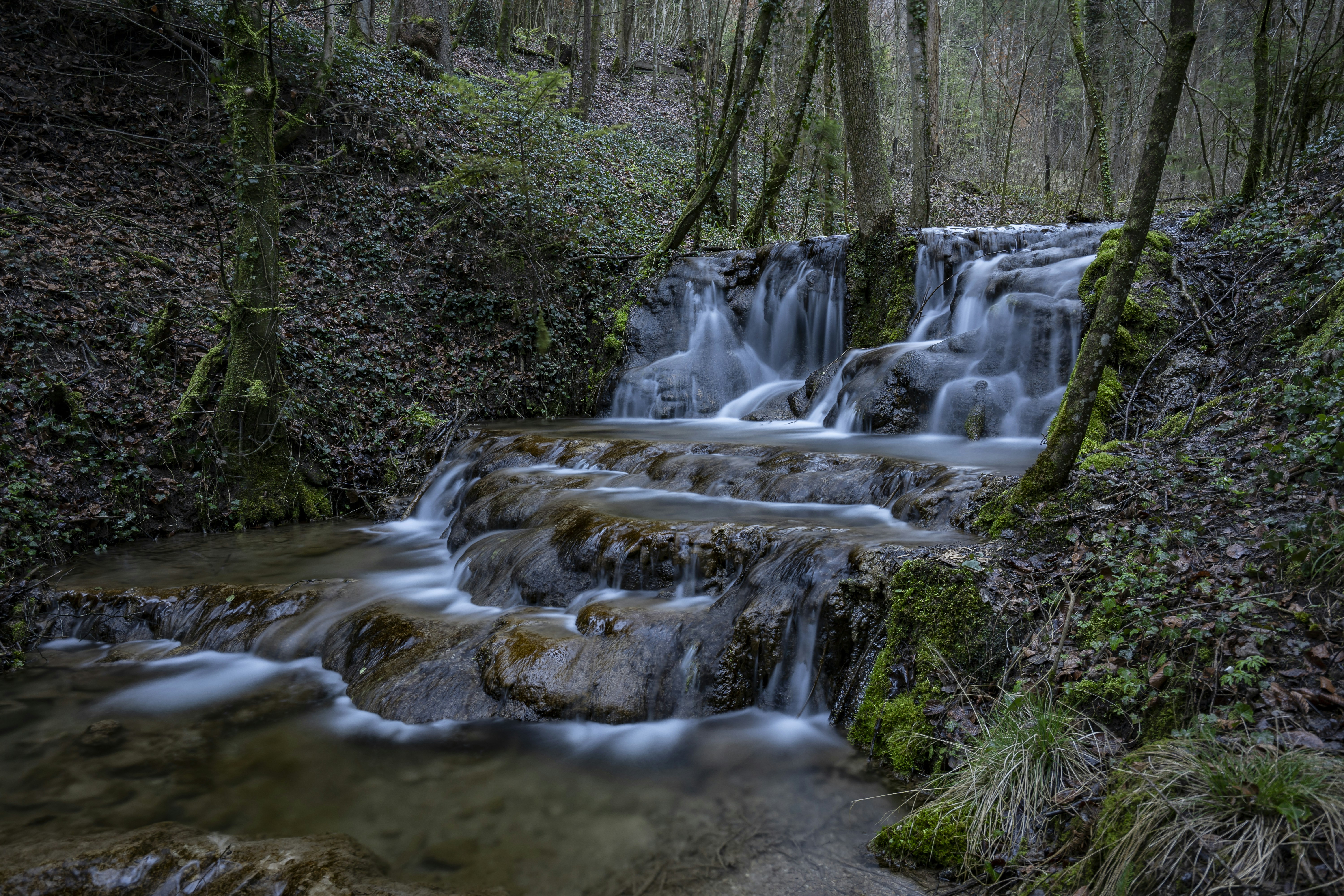 Photo by debrupas