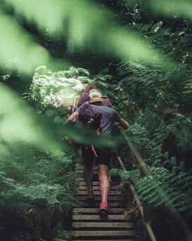 Climb Your Way to a Healthier Heart: The Benefits of Stair Climbing