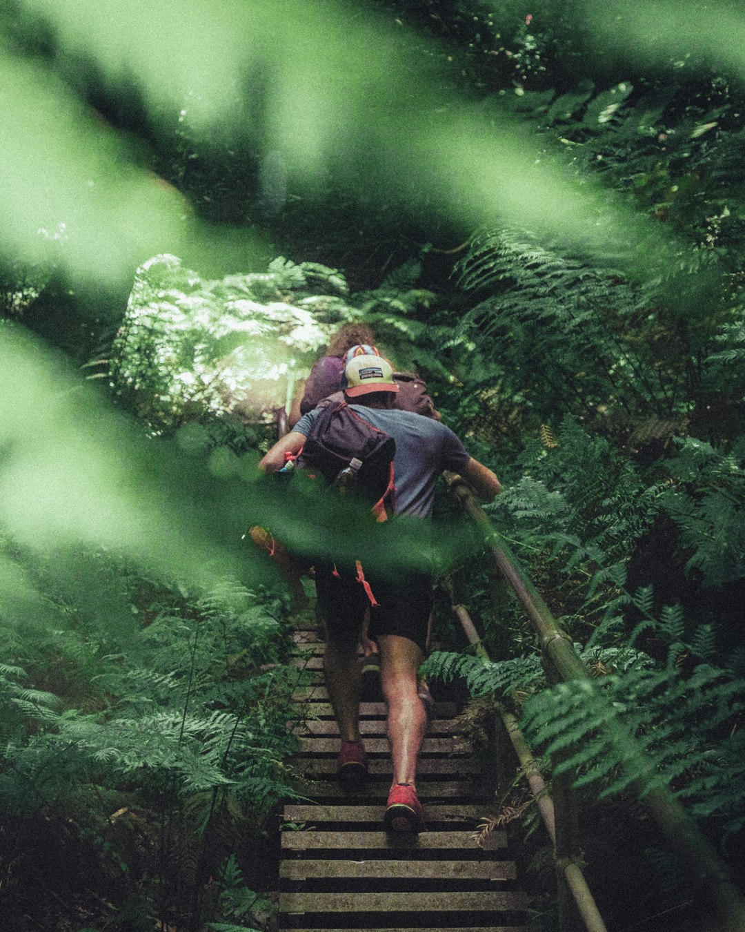 Forest photo spot Blue Mountains Sydney