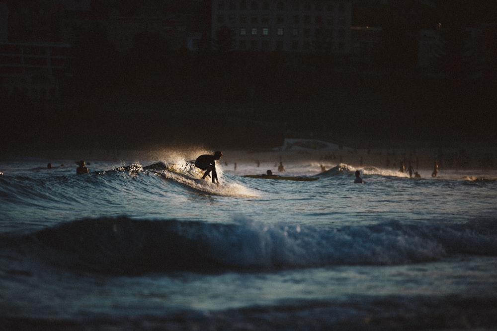 silhouette of people surfing the waves