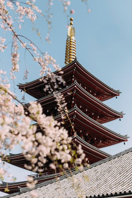 red and brown tower at daytime in Sensō-ji Temple Japan