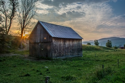 brown wooden shed surrounded by green grass