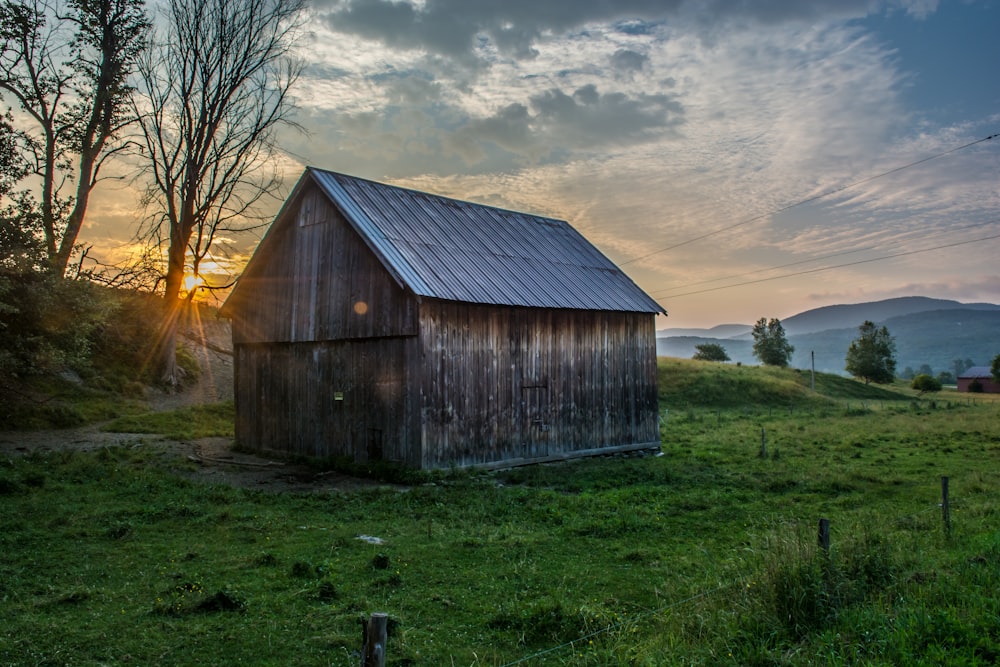 brown wooden shed surrounded by green grass