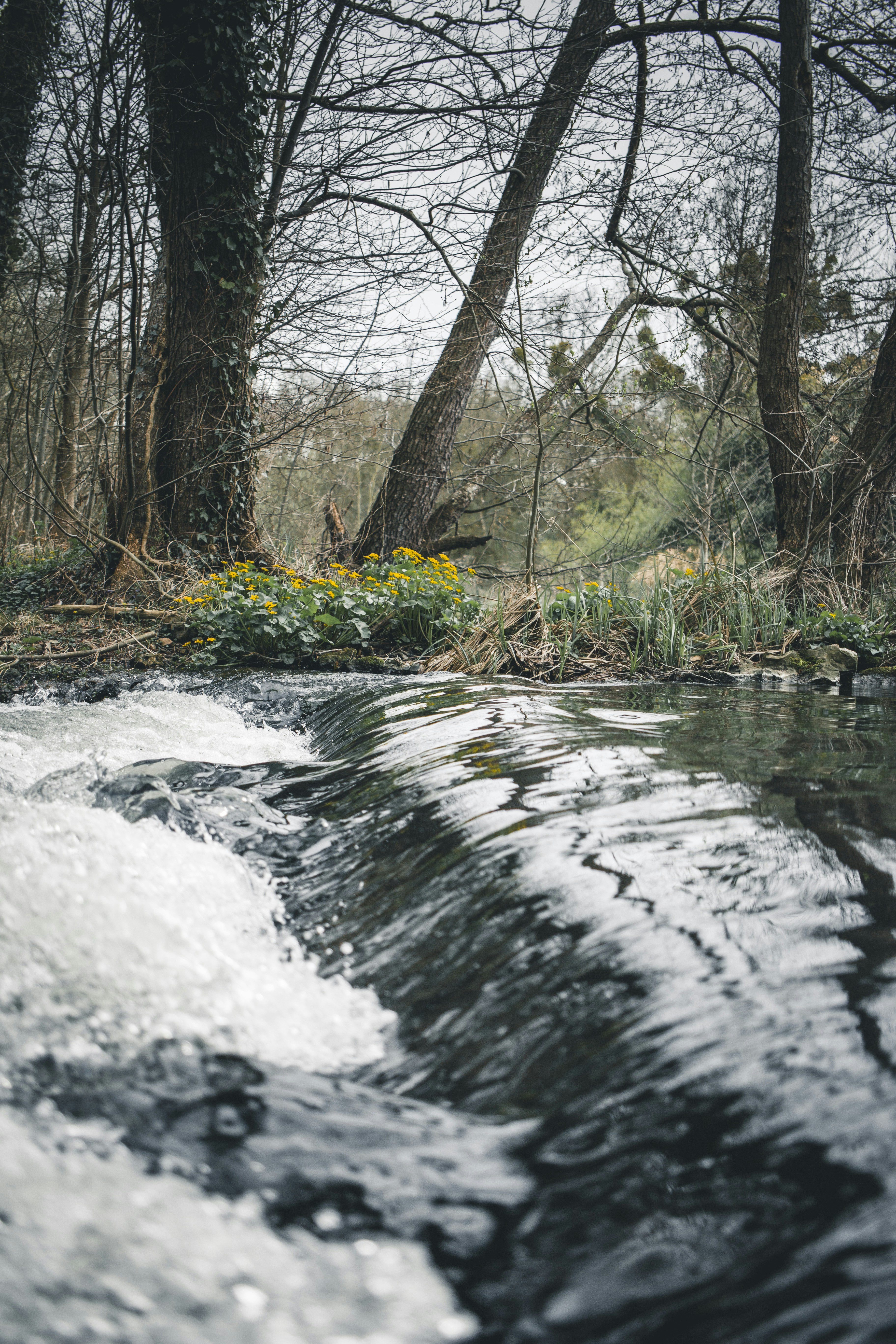 Nature Soundscapes Sample Pack