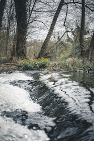 A serene setting with flowers and sound waves.