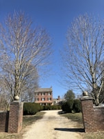 A gravel driveway bordered by neat hedges leading to a detached UK family home.