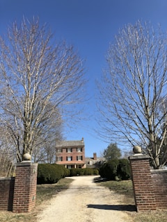 A gravel driveway bordered by neat hedges leading to a detached UK family home.